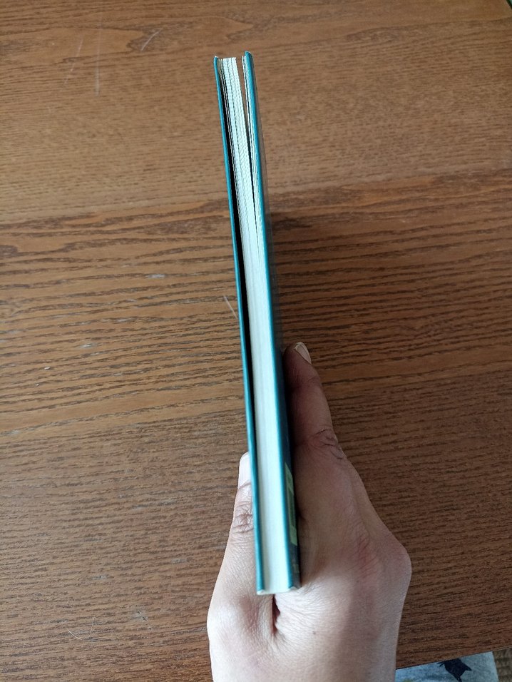 Kayıp Kentin Yakışıklısı - Yılmaz Erdoğan - Görsel 4