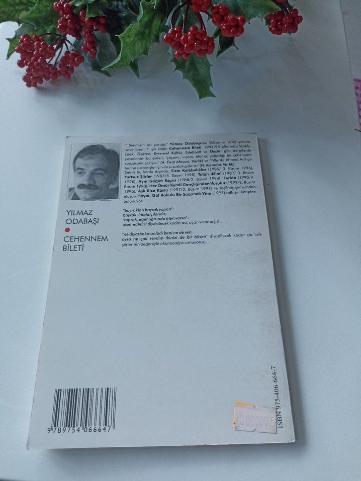 Yılmaz Odabaşı - Cehennem Bileti - Görsel 2