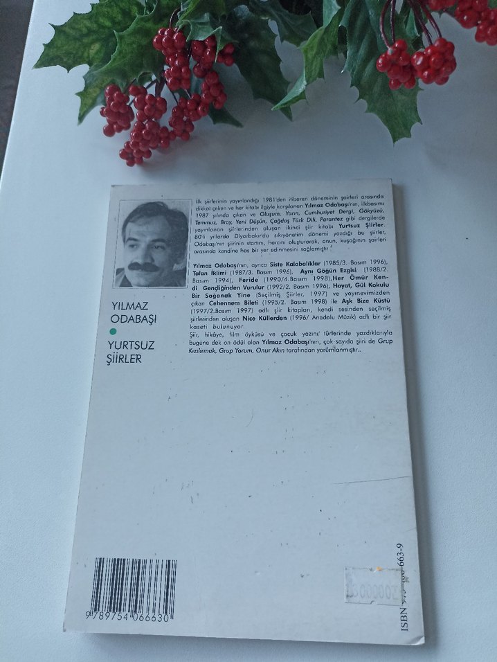 Yılmaz Odabaşı - Yurtsuz Şiirler - Görsel 2