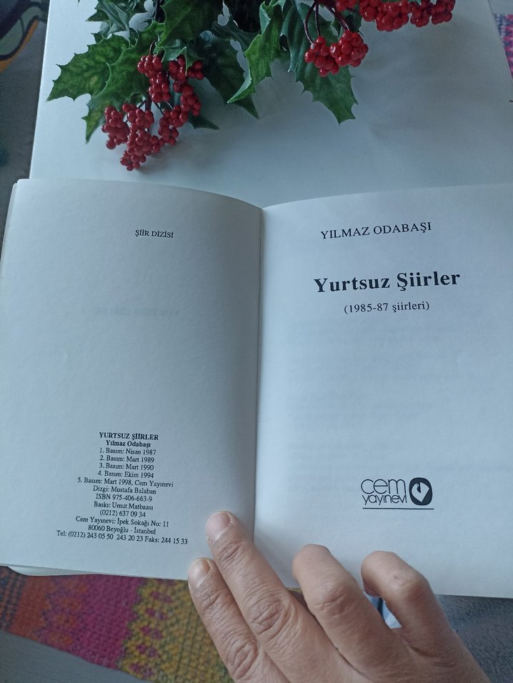 Yılmaz Odabaşı - Yurtsuz Şiirler - Görsel 5