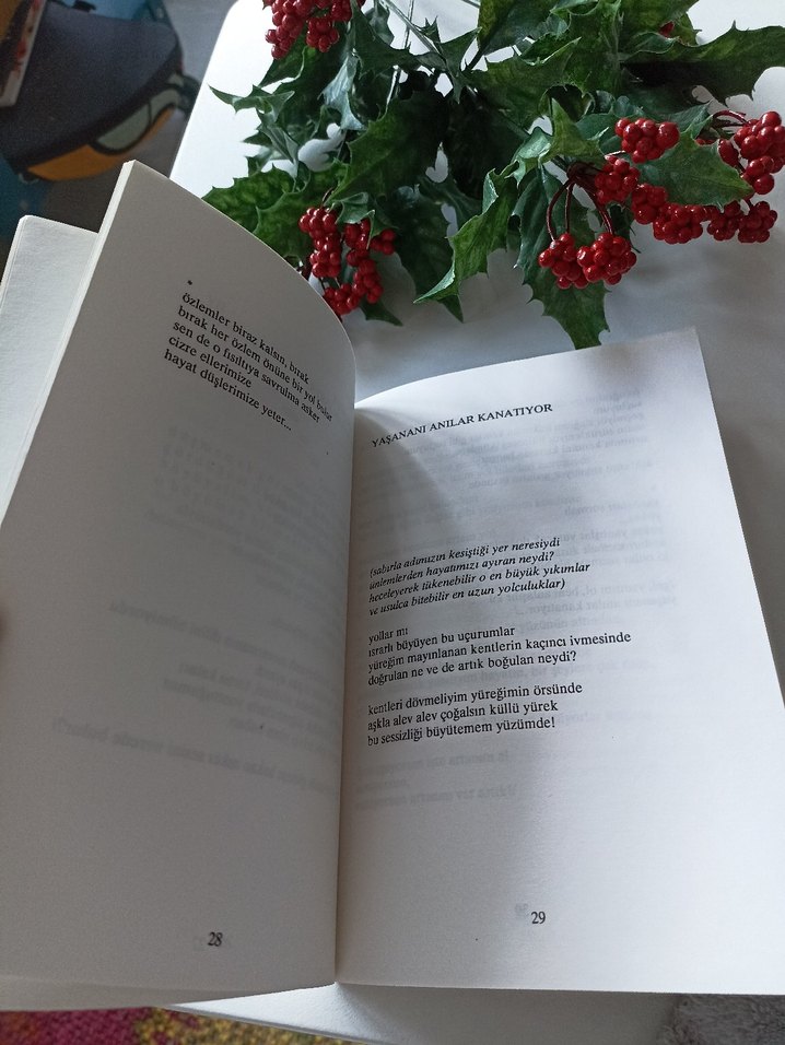 Yılmaz Odabaşı - Yurtsuz Şiirler - Görsel 3