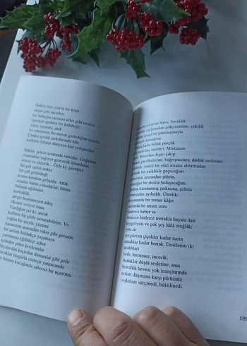 Nihat Behram - Yalın Yürek Toplu Şiirler - Görsel 4