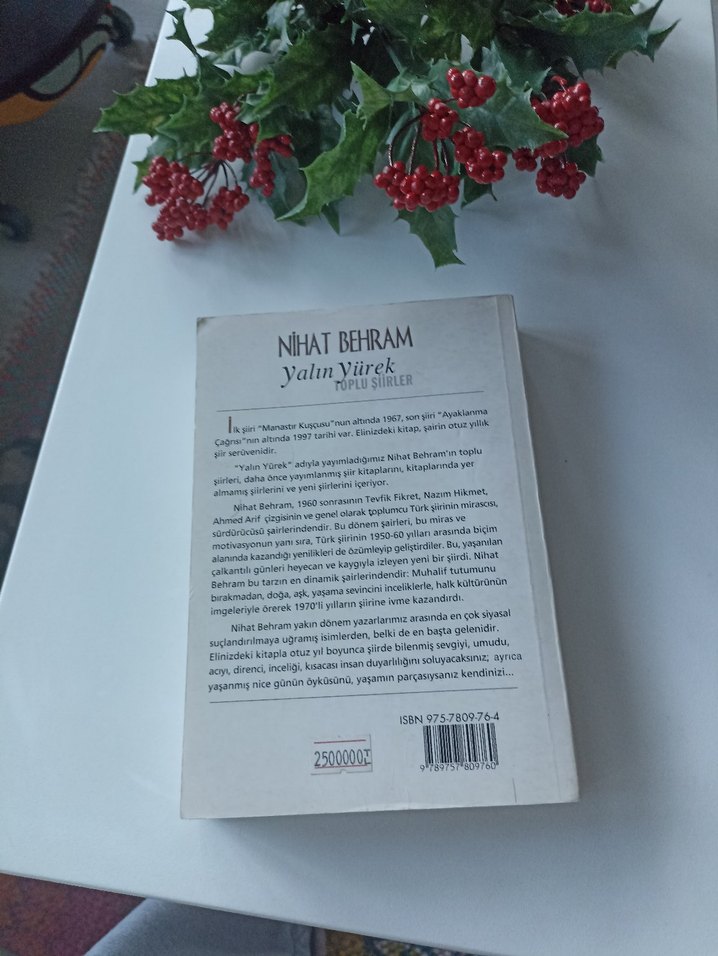 Nihat Behram - Yalın Yürek Toplu Şiirler - Görsel 2