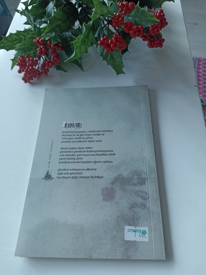 Hiçlik Kulesi - Bülent Karslıoğlu - Görsel 2