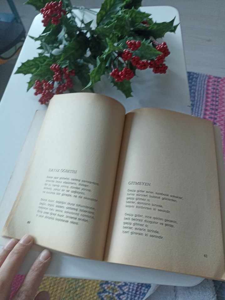 Kemal Özer - Kavganın Yüreği - Görsel 4