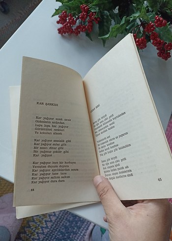 Afsar Timuçin - Ey Benim Güzel Sevdalım - Görsel 6