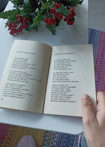 Afsar Timuçin - Ey Benim Güzel Sevdalım - Görsel 4