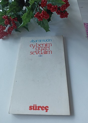 Afsar Timuçin - Ey Benim Güzel Sevdalım - Görsel 2