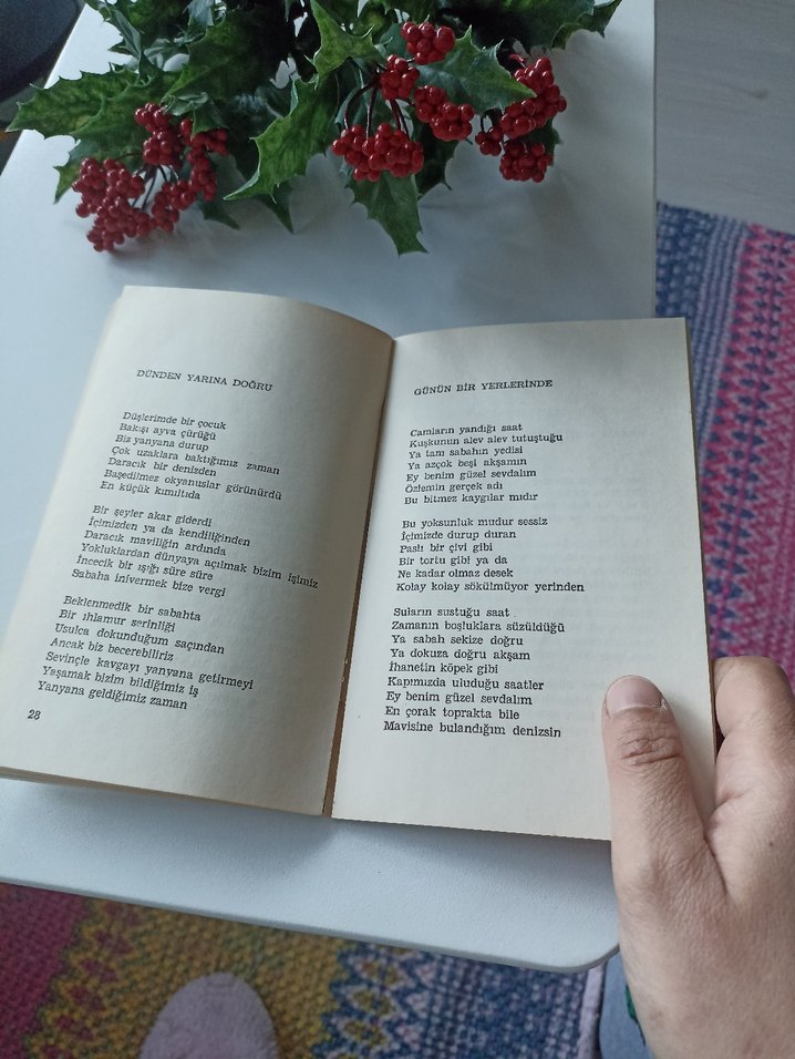 Afsar Timuçin - Ey Benim Güzel Sevdalım - Görsel 4