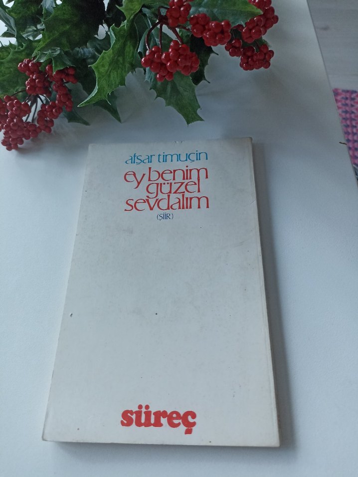 Afsar Timuçin - Ey Benim Güzel Sevdalım - Görsel 2