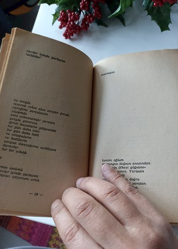 Lal olsun ölsün - Metin Güven - Görsel 5