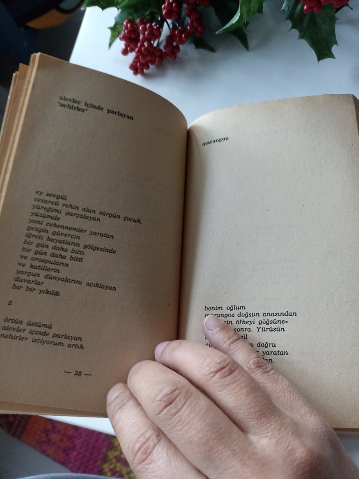 Lal olsun ölsün - Metin Güven - Görsel 5