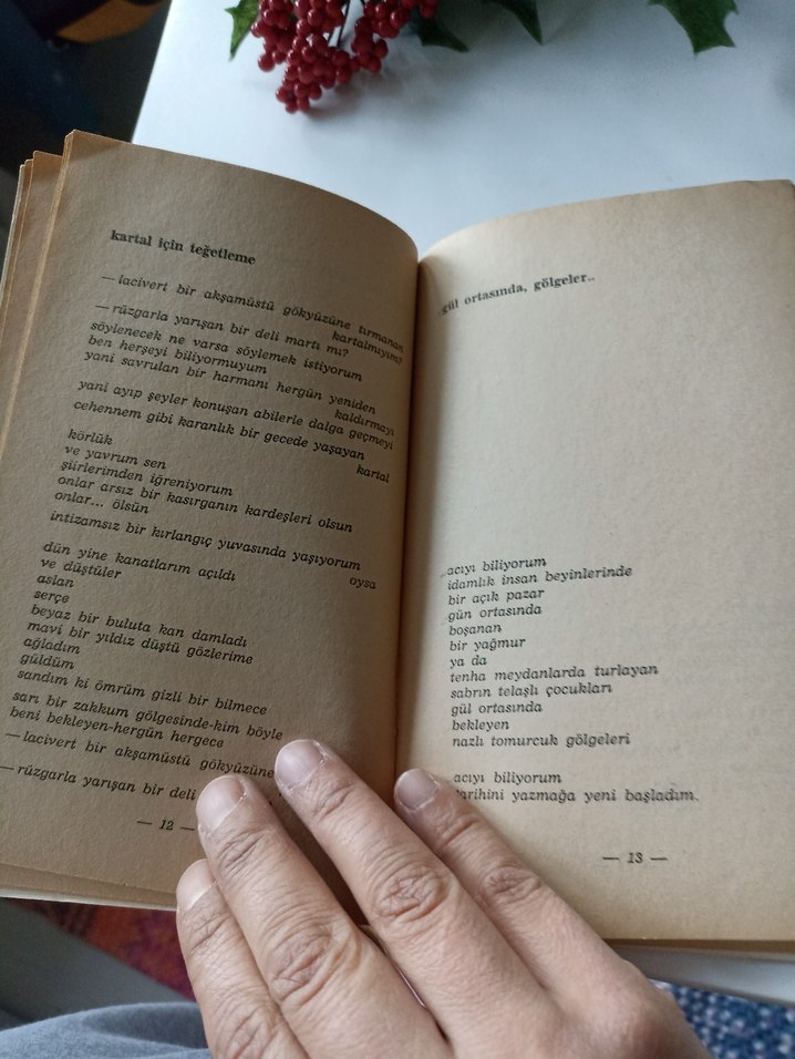 Lal olsun ölsün - Metin Güven - Görsel 4