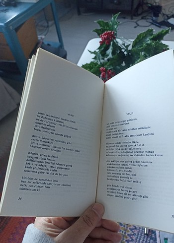 Yaz Mektupları - Melisa Gürpınar - Görsel 5