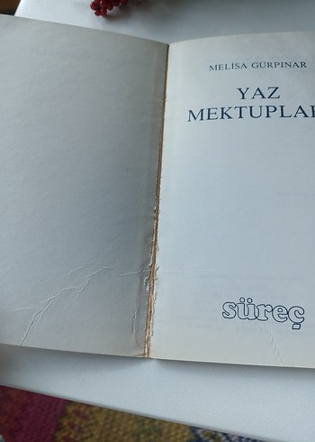 Yaz Mektupları - Melisa Gürpınar - Görsel 3