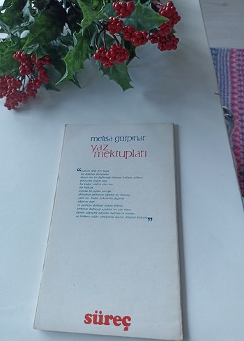 Yaz Mektupları - Melisa Gürpınar - Görsel 2