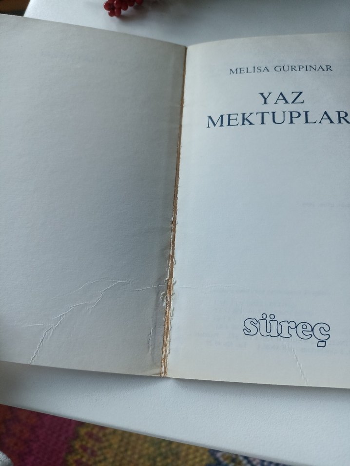 Yaz Mektupları - Melisa Gürpınar - Görsel 3