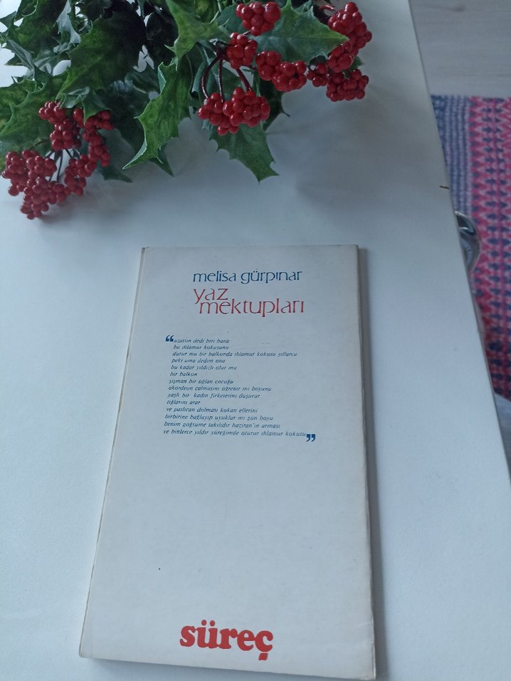 Yaz Mektupları - Melisa Gürpınar - Görsel 2