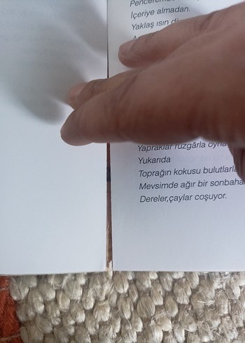 Aşk Bitti - Aslan Özdemir - Görsel 4