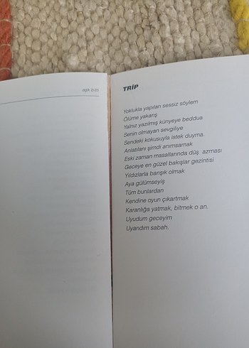 Aşk Bitti - Aslan Özdemir - Görsel 3