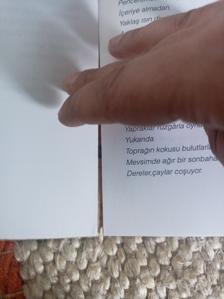 Aşk Bitti - Aslan Özdemir - Görsel 4