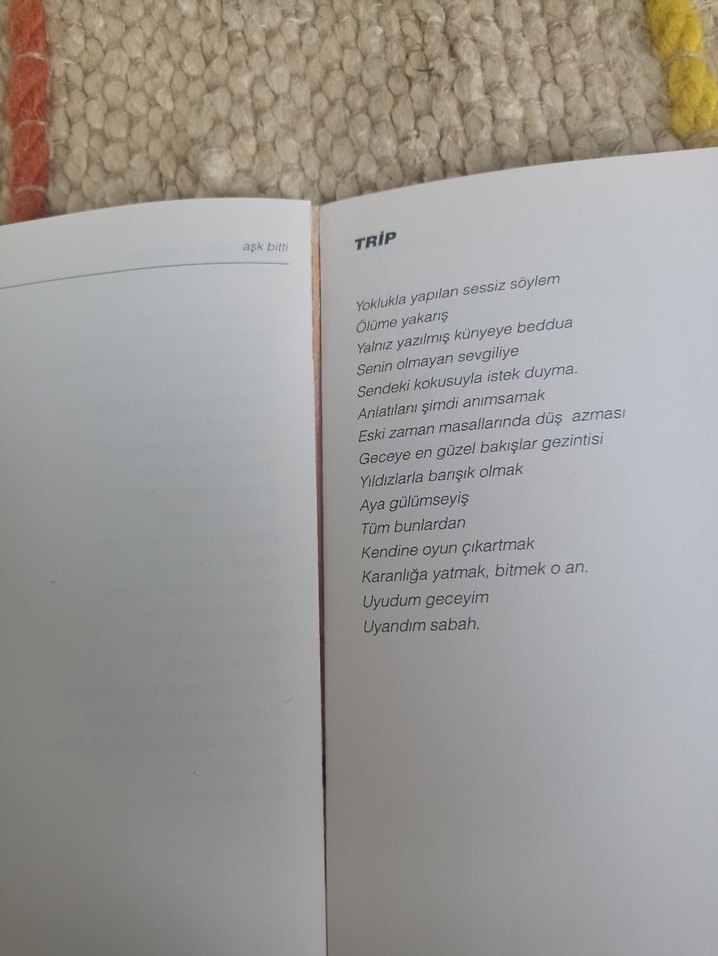 Aşk Bitti - Aslan Özdemir - Görsel 3