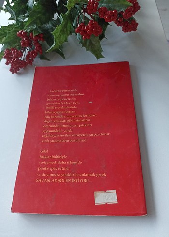 Partizanın Günlüğü - Sefa Fersal - Görsel 2