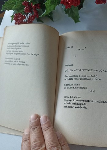 Partizanın Günlüğü - Sefa Fersal - Görsel 6