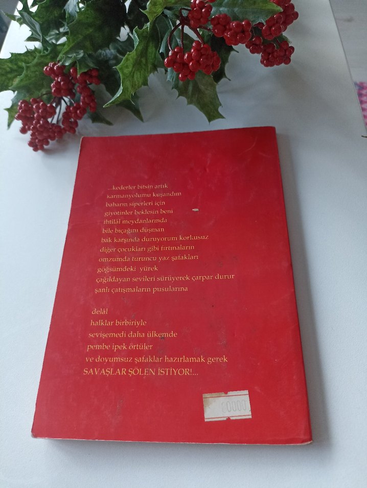 Partizanın Günlüğü - Sefa Fersal - Görsel 2