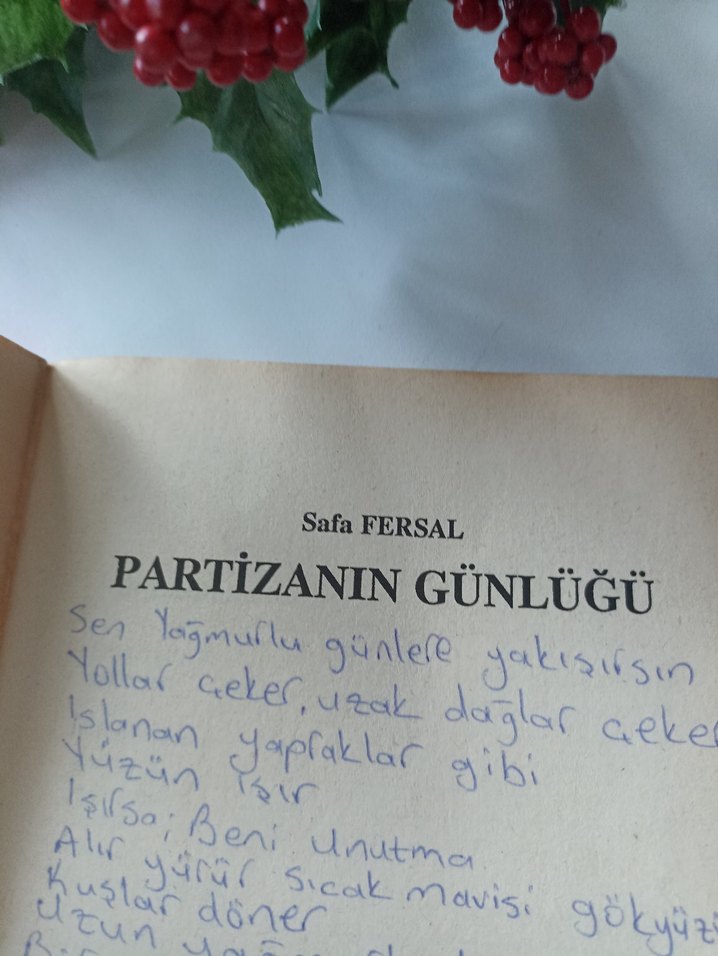 Partizanın Günlüğü - Sefa Fersal - Görsel 4