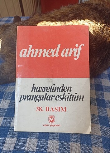 Ahmet Arif - Hasretinden prangalar eskittim 