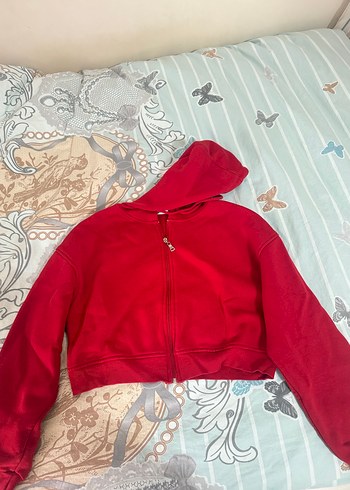 Addax addax crop hirka