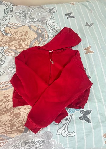 m Beden addax crop hirka