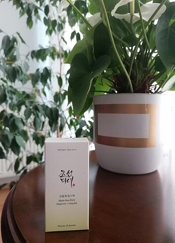 Diğer Beauty of joseon matte sun stick güneş kremi 