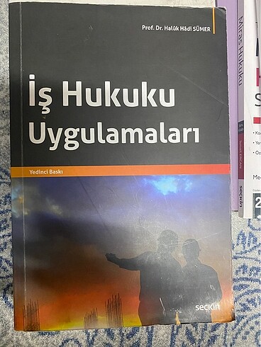 iş hukuku uygulamaları haluk hadi sümer