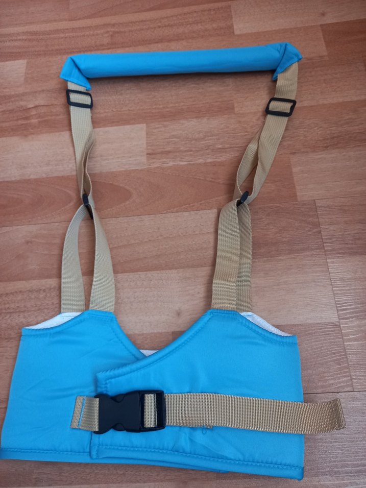 Mavi Bebek Yürüteci - Görsel 2