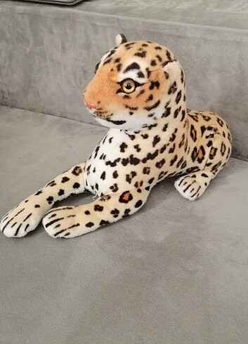 60 cm yavru leopar 