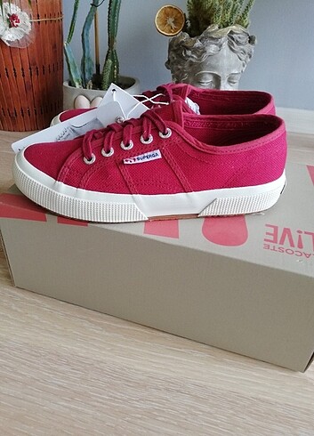 37 Beden Superga sıfır etiketli ayakkabi 