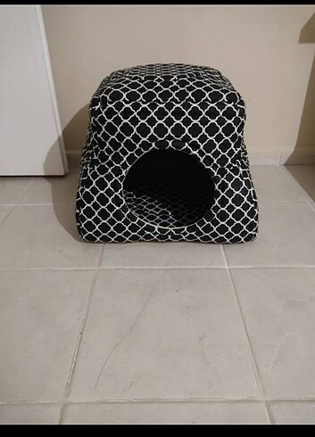 Kedi evi