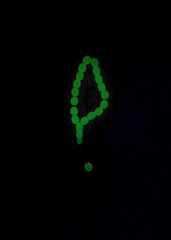 Koyu Yeşil Erkek Tesbih  fosforlu - Görsel 2