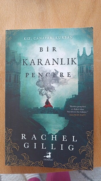 Rachel Gillig- Bir Karanlık Pencere