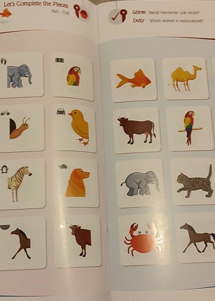 İlk adım 2 yaş dikkat seti - Görsel 5