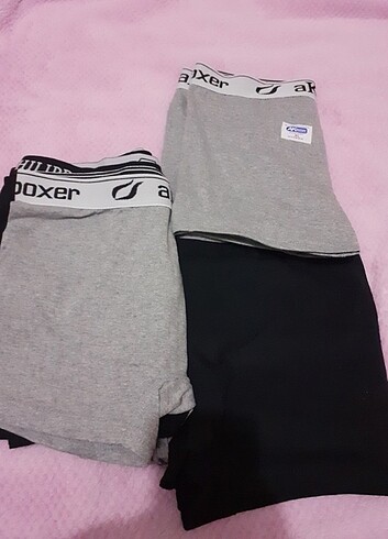 Boxer