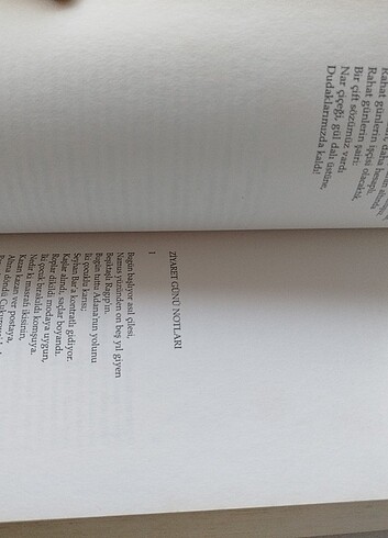 Rıfat ılgaZ - Görsel 2