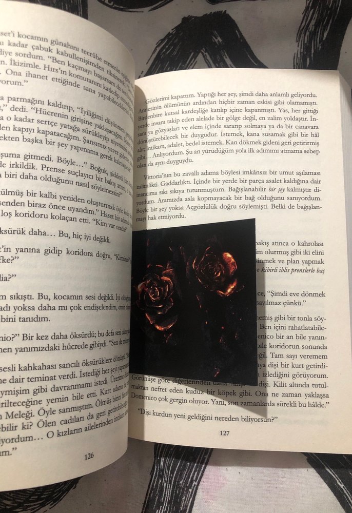 Cehennemin Krallığı - Kerri Maniscalco - Görsel 3