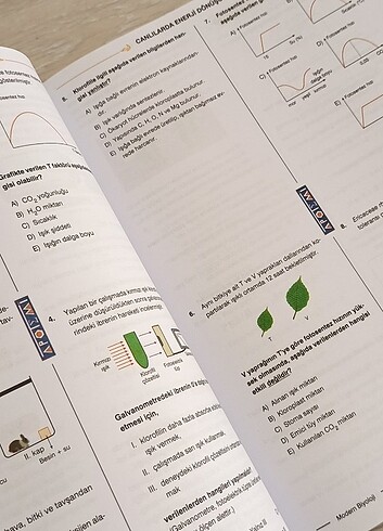  Beden Renk Apotemi modern biyoloji kitabı 