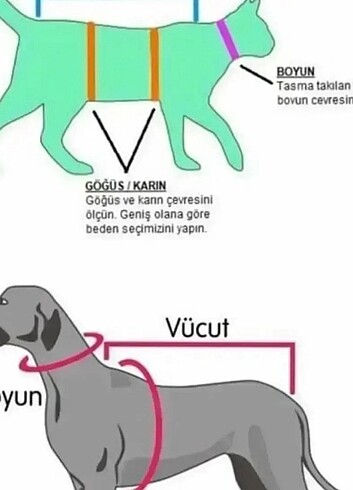 Beden Kedi & Köpek Göğüs Tasması