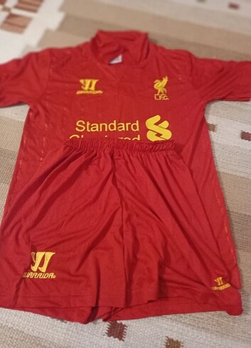 17-18 years Beden Liverpool 