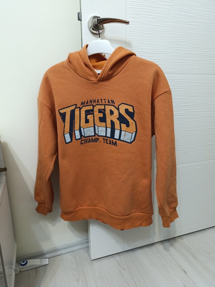 Rahat Kesim Turucu Baskılı Sweatshirt - Görsel 2