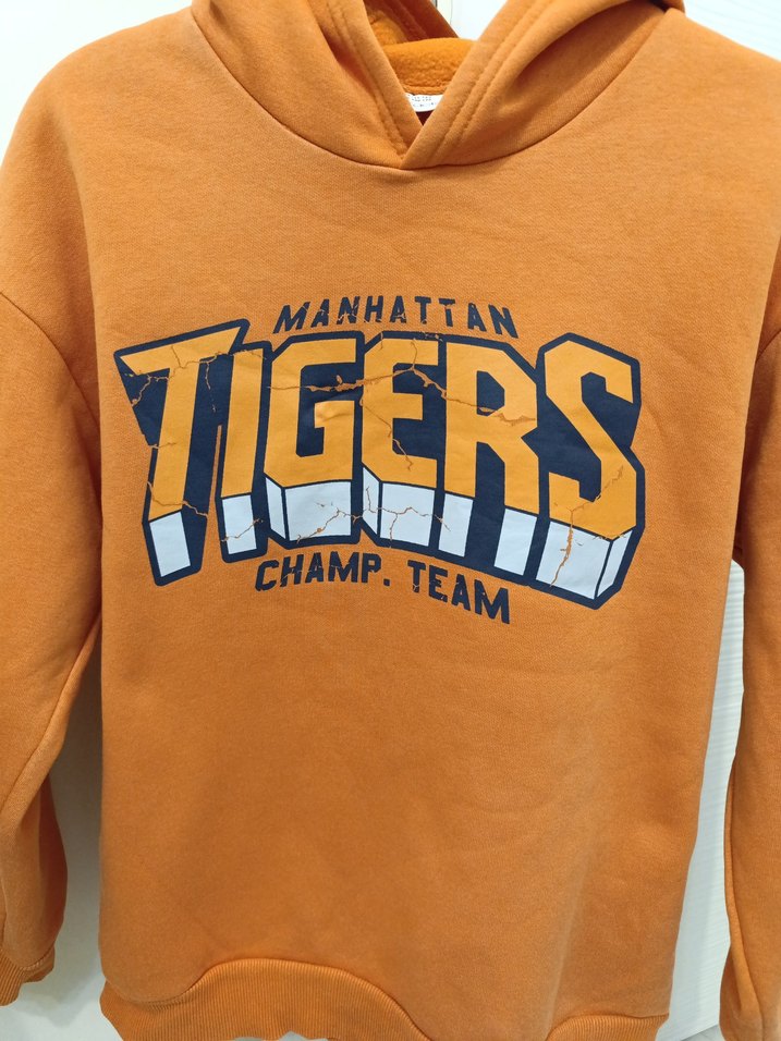 Rahat Kesim Turucu Baskılı Sweatshirt - Görsel 3